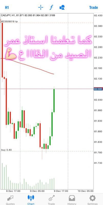 photo_2024-09-10_12-40-40